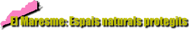 El Maresme: Espais naturals protegits