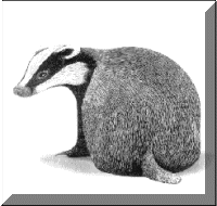 El Maresme: Fauna